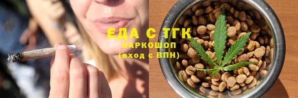 индика Абаза