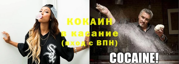 индика Абаза