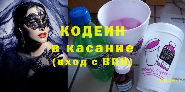 индика Абаза