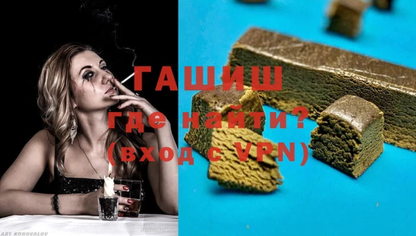 индика Абаза