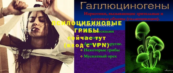 индика Абаза