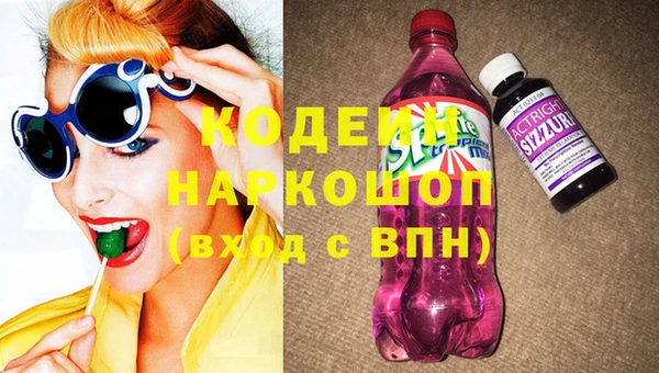 индика Абаза