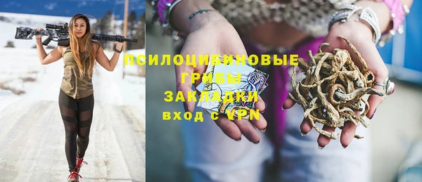 индика Абаза