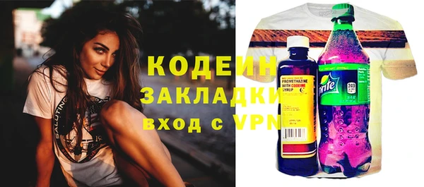 индика Абаза