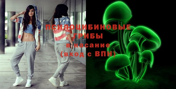 индика Абаза